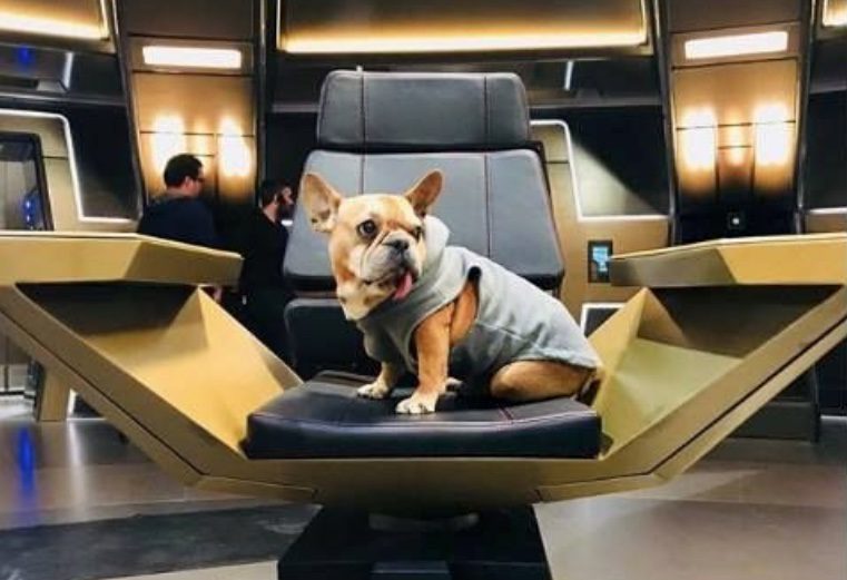 Scatti Curiosi dal dietro le quinte di Star Trek:Discovery