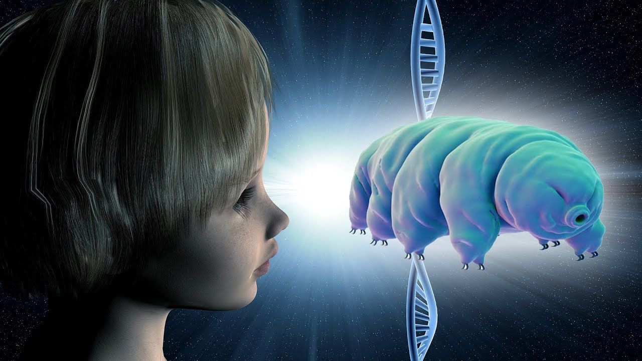 Il DNA del tardigrado per sopravvivere su Marte