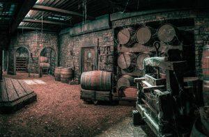 Star Trek: Picard 207 di Mostri - foto di Dave Blass
